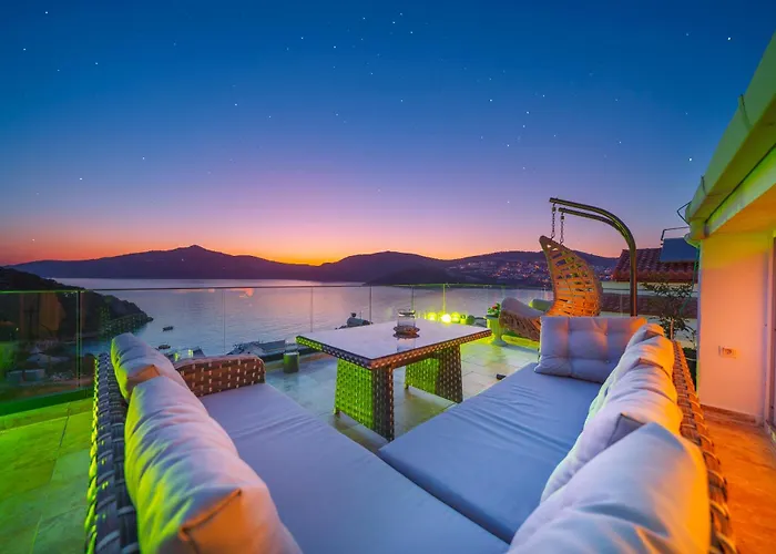 White فيلة كاس