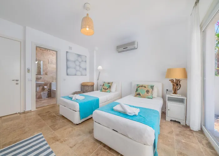 White فيلة كاس