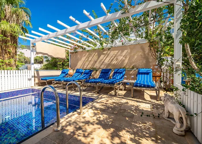 فيلة White كاس